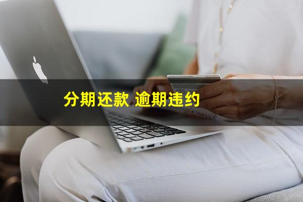 分期还款 逾期违约